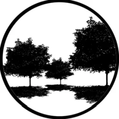 Tree Silhouette 4 - Stock Gobo for Gobo Light Projectors - Choose your size!