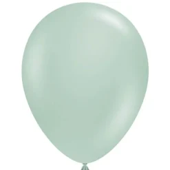 TUFTEX EmpowerBalloon -Mint Balloon - 11 inch